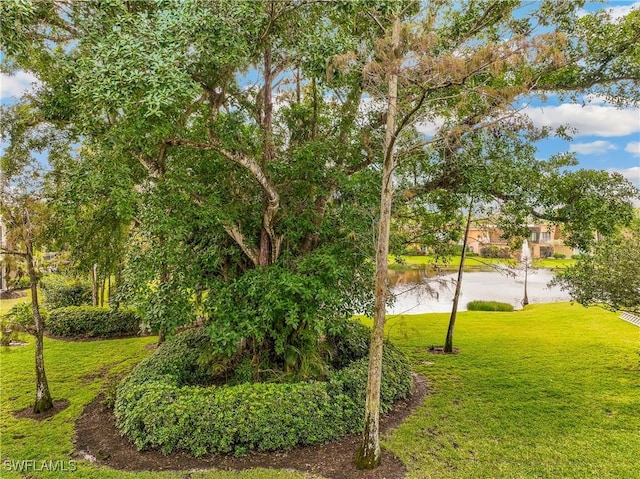 view of home's community featuring a yard and a water view