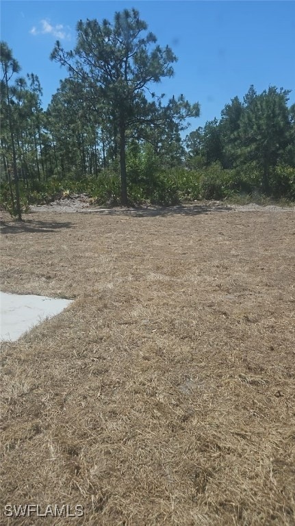 3019 32nd St W, Lehigh Acres, FL 33971 - view of yard