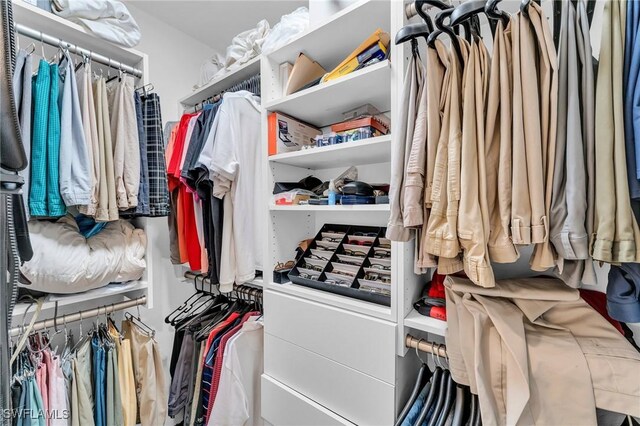 view of spacious closet