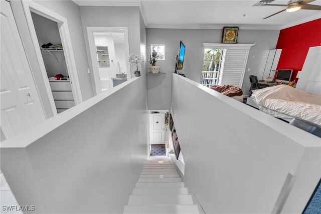 staircase featuring ceiling fan and ornamental molding