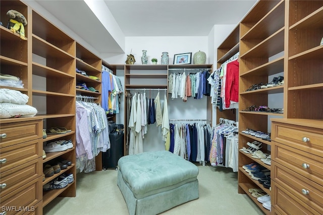 walk in closet with carpet floors