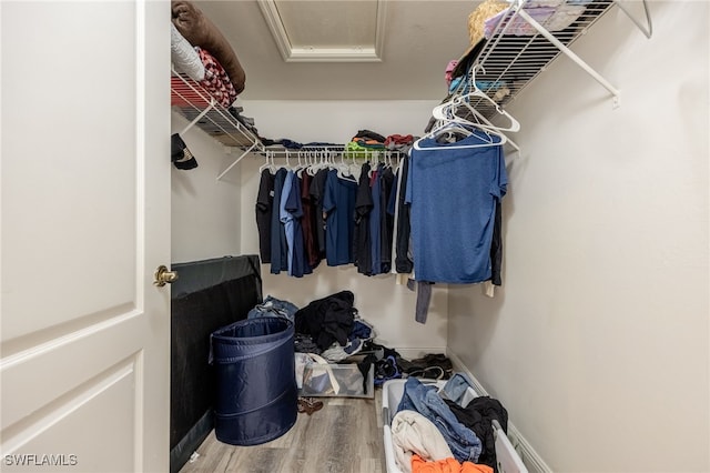 walk in closet with wood-type flooring