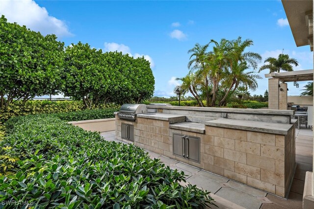 view of patio / terrace with area for grilling