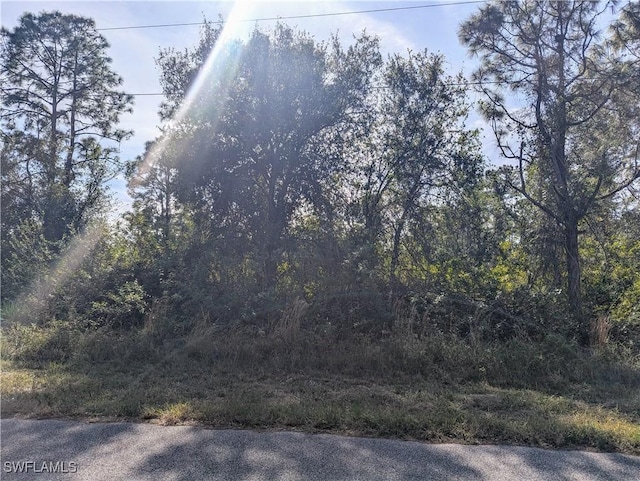 1122 Cove St E, Lehigh Acres FL, 33974 land for sale