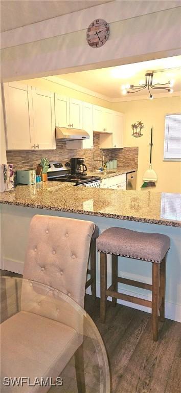 kitchen with light stone countertops, white cabinetry, dark hardwood / wood-style flooring, and stainless steel appliances