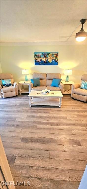 living room featuring wood-type flooring