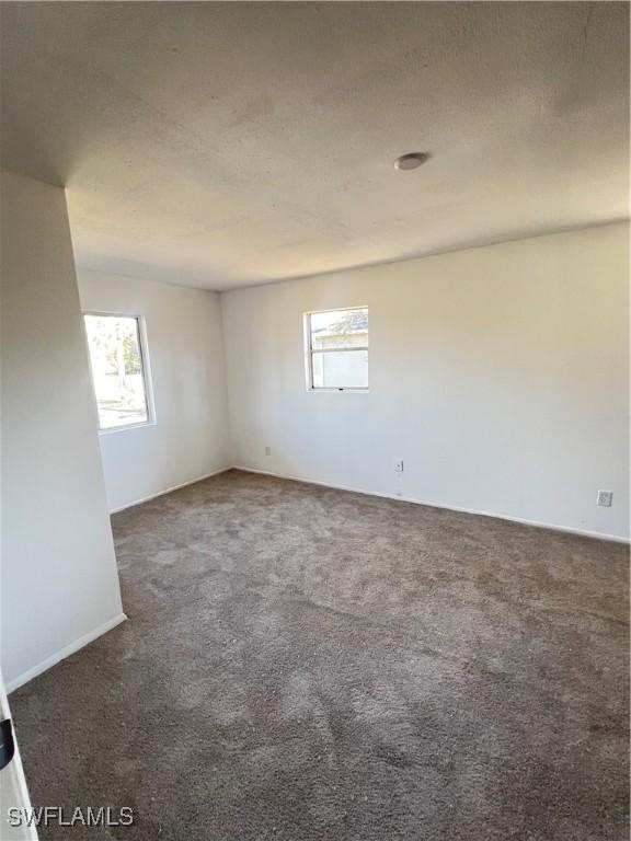 carpeted empty room featuring a wealth of natural light