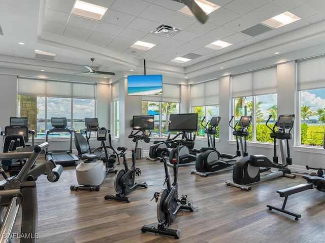 gym featuring a paneled ceiling and wood-type flooring