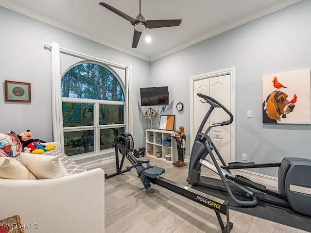 workout area with ceiling fan and ornamental molding