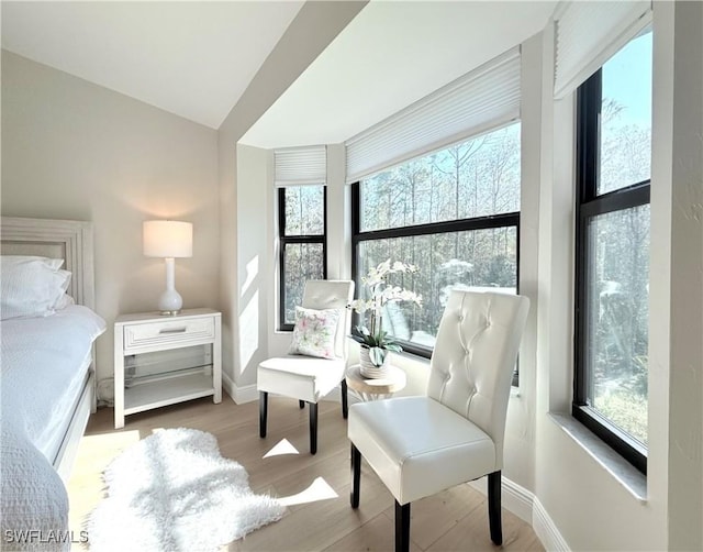 bedroom with light hardwood / wood-style floors and lofted ceiling