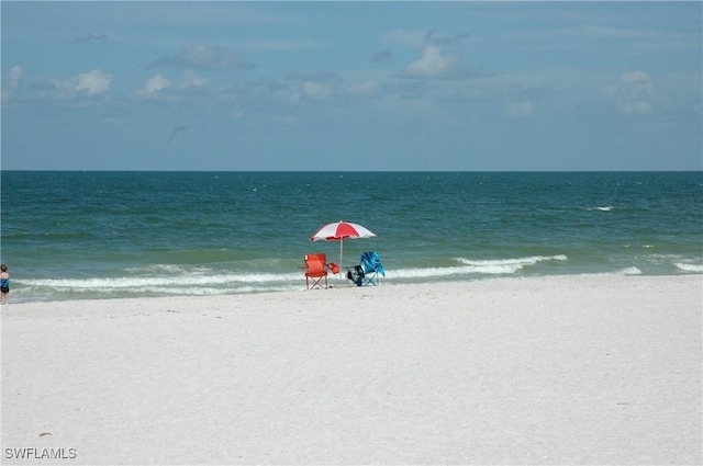 water view featuring a beach view