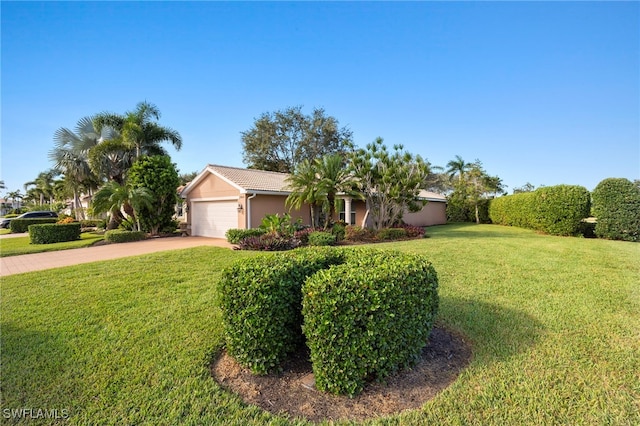 ranch-style house featuring a garage and a front lawn