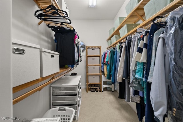 spacious closet with light colored carpet