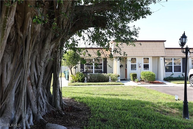 view of front facade with a front lawn