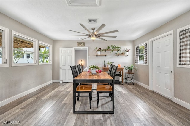 dining room featuring ceiling fan, a wealth of natural light, a textured ceiling, and light hardwood / wood-style floors