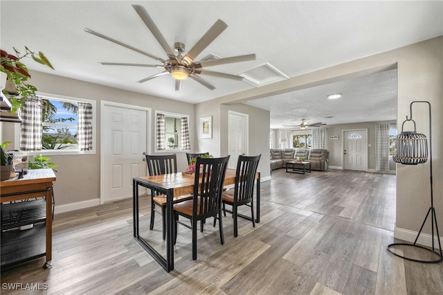 dining room with ceiling fan and wood-type flooring