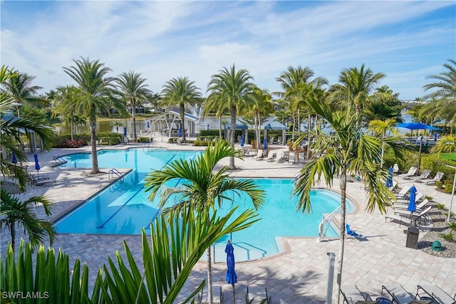 view of swimming pool featuring a patio area