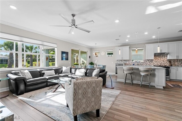 living room with light hardwood / wood-style floors, plenty of natural light, crown molding, and ceiling fan