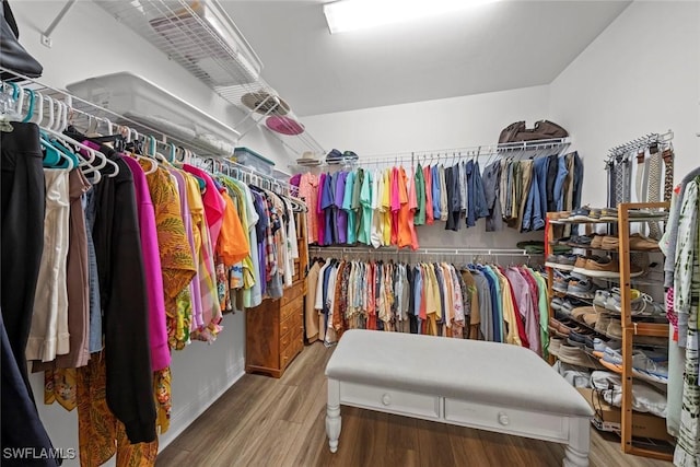 spacious closet featuring hardwood / wood-style floors