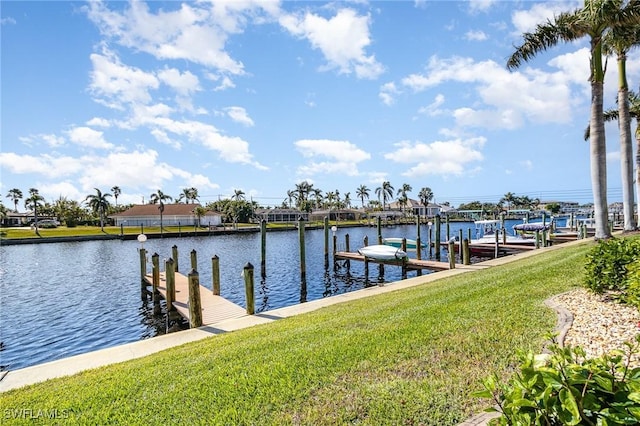 dock area with a lawn and a water view