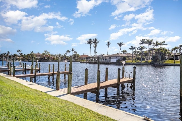 dock area with a water view and a yard