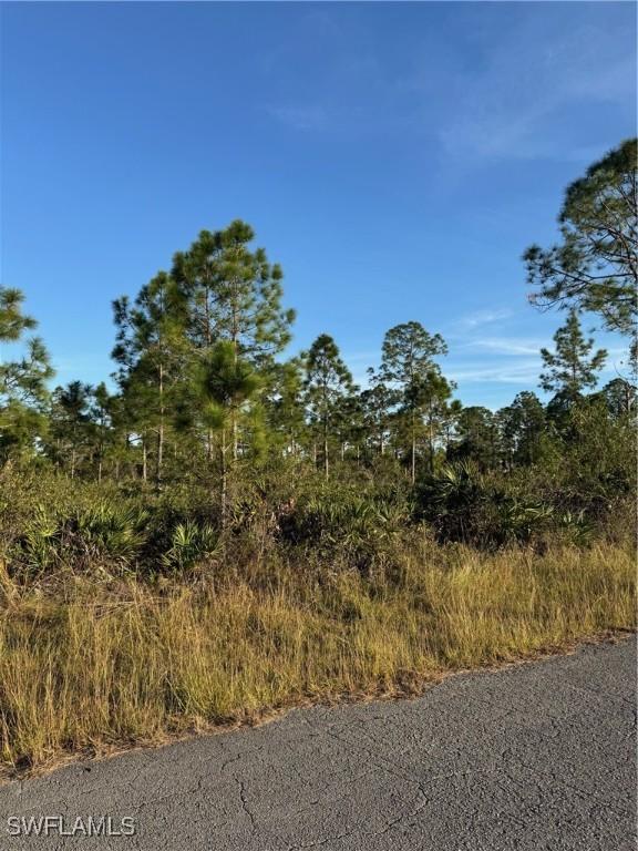 1308 Fifth Ave, Lehigh Acres FL, 33972 land for sale