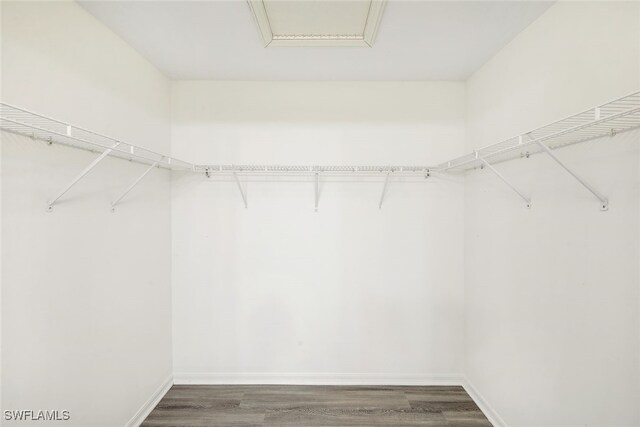 walk in closet with dark wood-type flooring