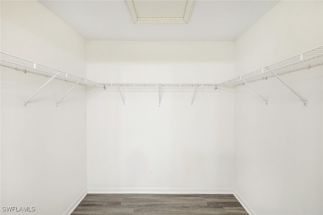 walk in closet featuring dark hardwood / wood-style flooring