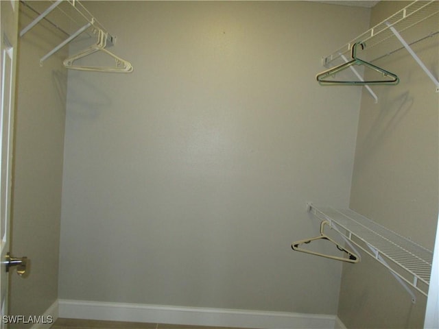 view of walk in closet