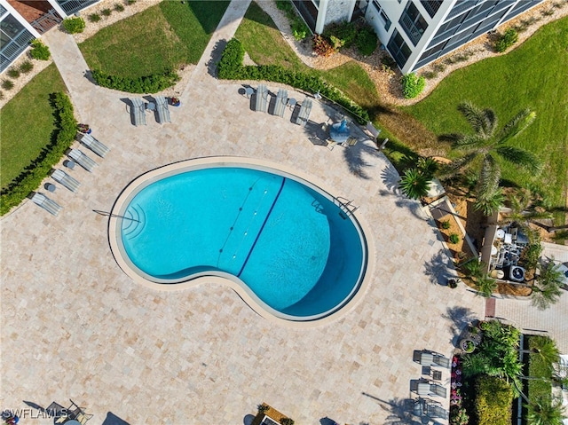 view of swimming pool