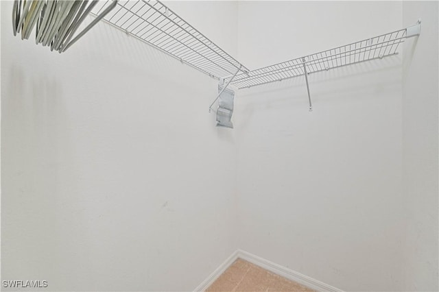 spacious closet featuring carpet floors