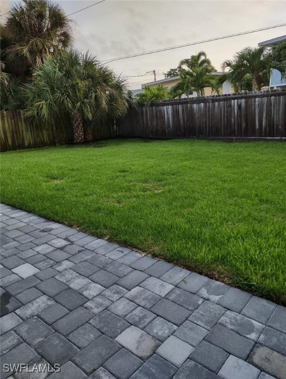 view of yard featuring a patio area