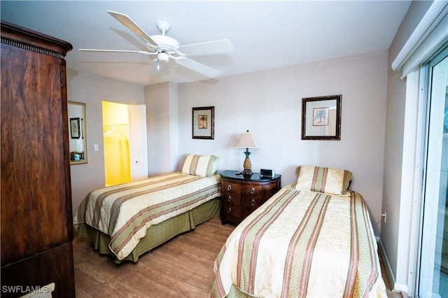 bedroom with ceiling fan, wood-type flooring, a walk in closet, and a closet