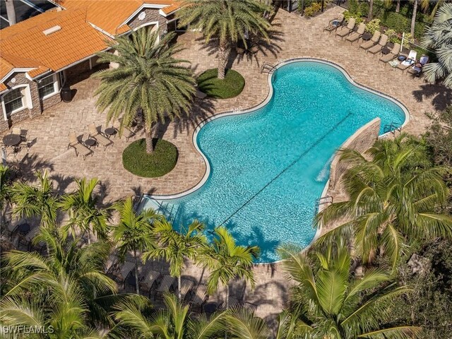 view of pool featuring a patio area