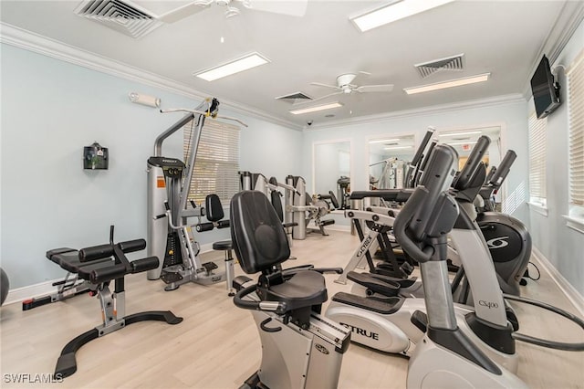 workout area featuring ceiling fan, light hardwood / wood-style floors, and ornamental molding