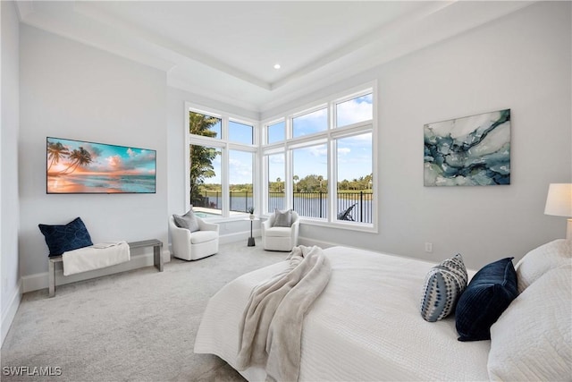 bedroom with carpet floors and a tray ceiling