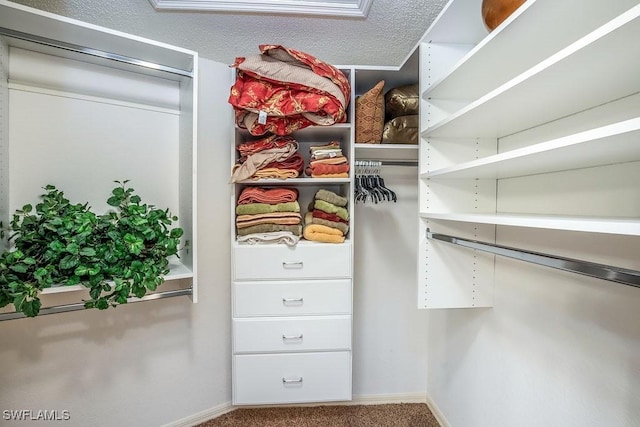 spacious closet featuring carpet floors