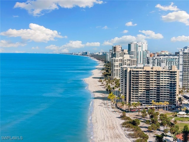 water view featuring a city view and a beach view