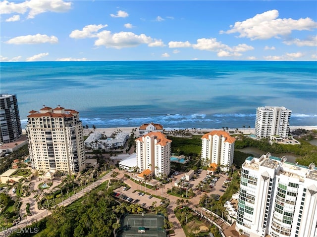 bird's eye view featuring a water view and a city view