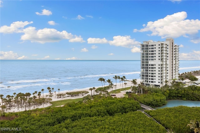 water view featuring a view of the beach