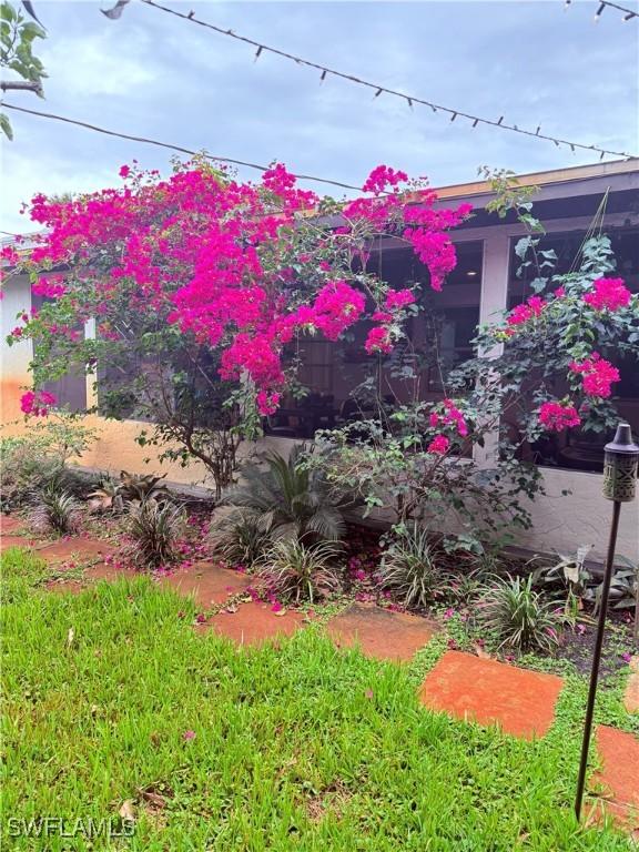 4207 Cindy Ave, Naples, FL 34112 - view of yard