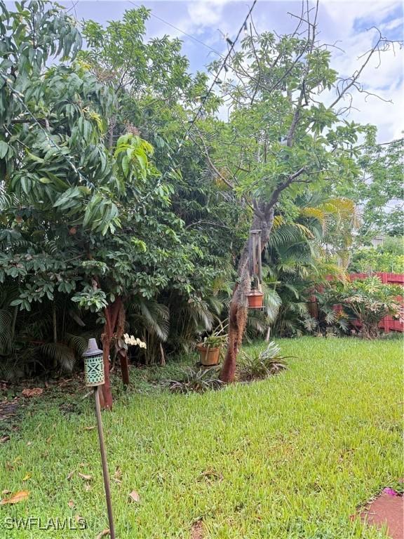 4207 Cindy Ave, Naples, FL 34112 - view of yard