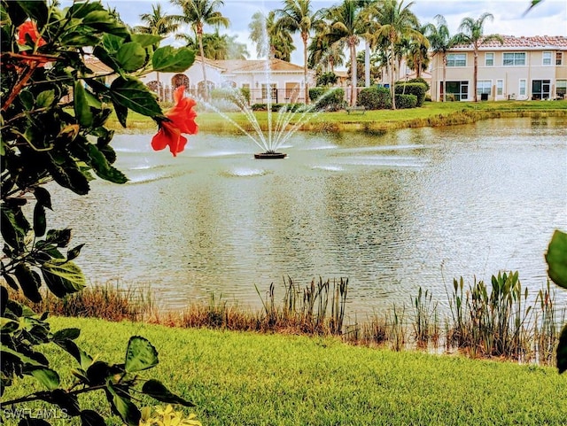 view of water feature