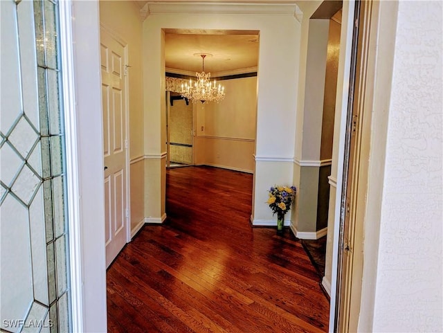 corridor with a chandelier, dark hardwood / wood-style flooring, and crown molding