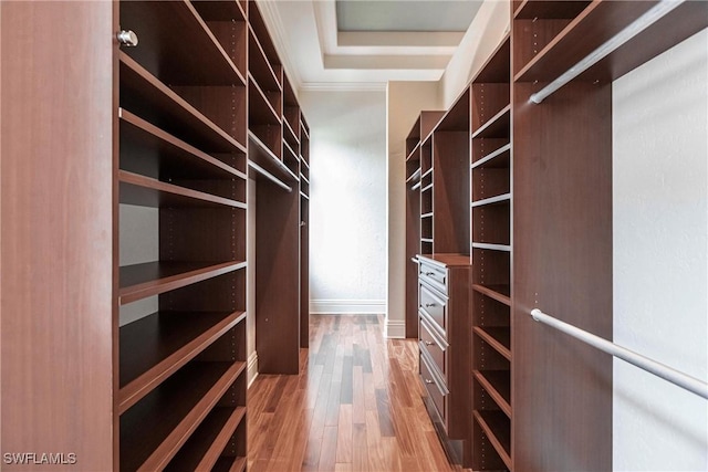 walk in closet with hardwood / wood-style floors