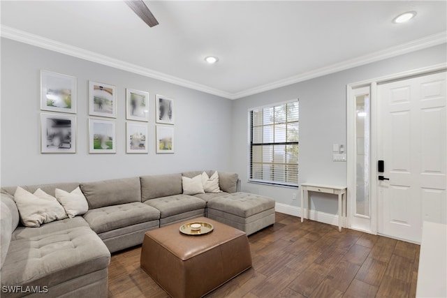 living room with ornamental molding and dark hardwood / wood-style floors