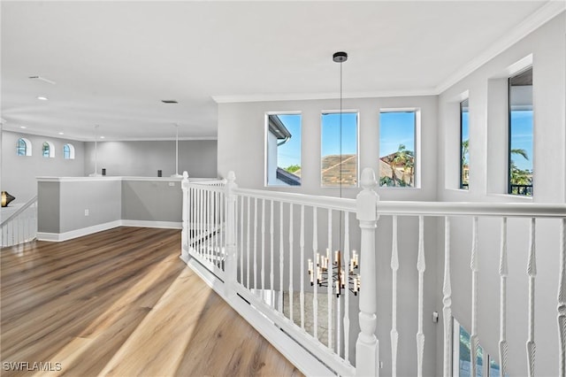 hall with wood-type flooring and crown molding