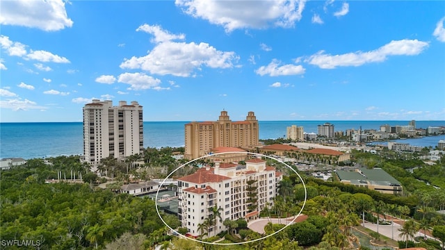 drone / aerial view with a water view