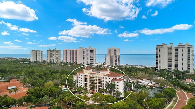 aerial view with a water view