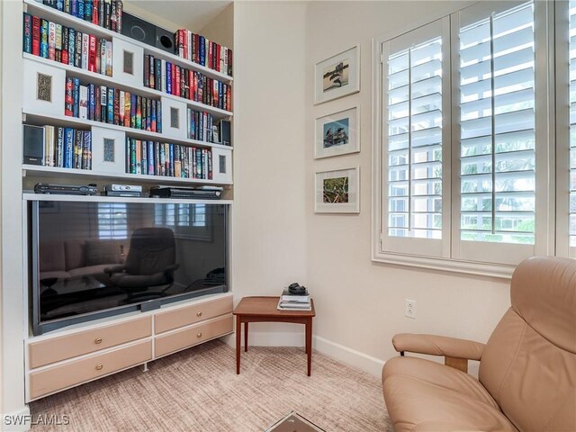 living area with carpet and plenty of natural light